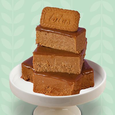 PLANT-BASED ULTIMATE FUDGE 